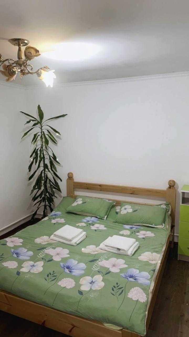 Rozalinda Guesthouse Naryn Exterior photo